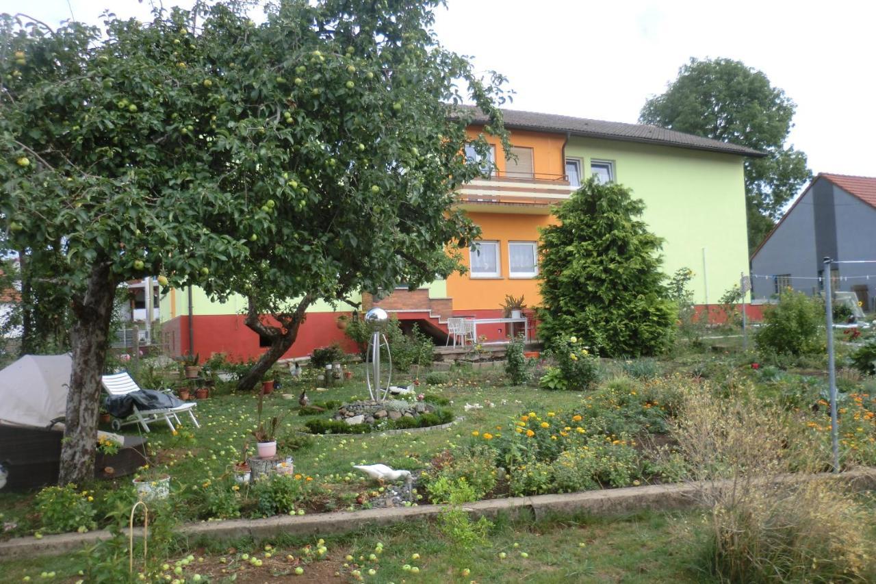 Gaestezimmer Vogelsberg Freiensteinau 외부 사진